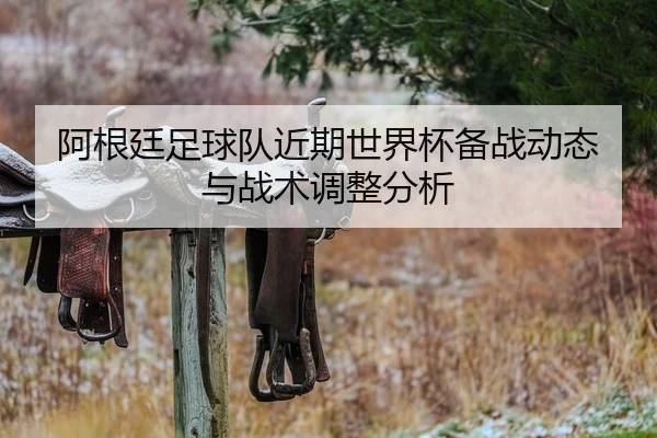 阿根廷足球队近期世界杯备战动态与战术调整分析