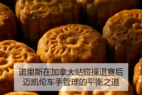 诺里斯在加拿大站碰撞退赛后 迈凯伦车手管理的平衡之道