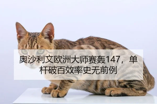 奥沙利文欧洲大师赛轰147，单杆破百效率史无前例