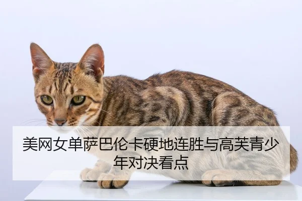 美网女单萨巴伦卡硬地连胜与高芙青少年对决看点