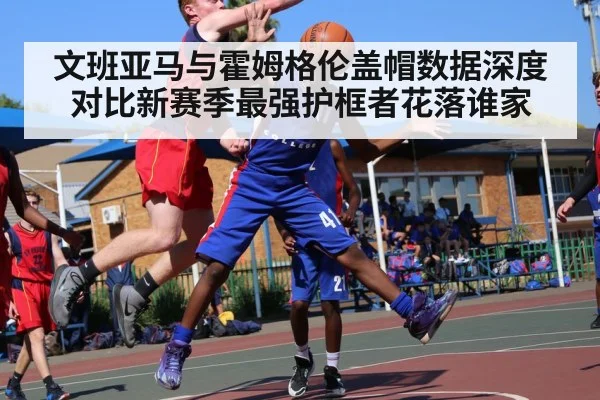 文班亚马与霍姆格伦盖帽数据深度对比新赛季最强护框者花落谁家