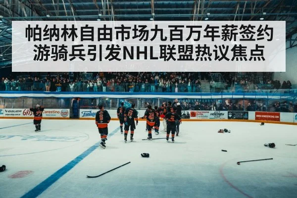 帕纳林自由市场九百万年薪签约游骑兵引发NHL联盟热议焦点