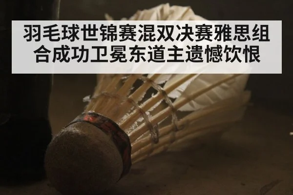羽毛球世锦赛混双决赛雅思组合成功卫冕东道主遗憾饮恨